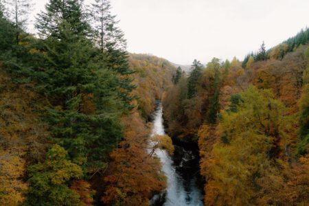 Garry Bridge