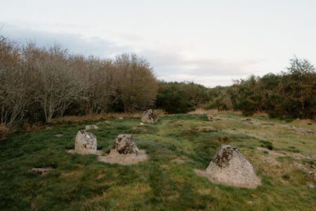 Weathered standing stones scattered across a grassy clearing edged with bare trees