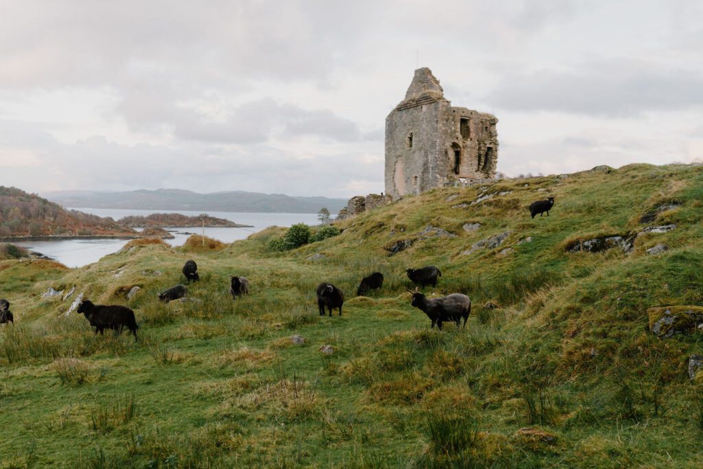 https://hiddenscotland-gallery.ams3.cdn.digitaloceanspaces.com/wp/2022/12/A7404500-1024x683.jpg