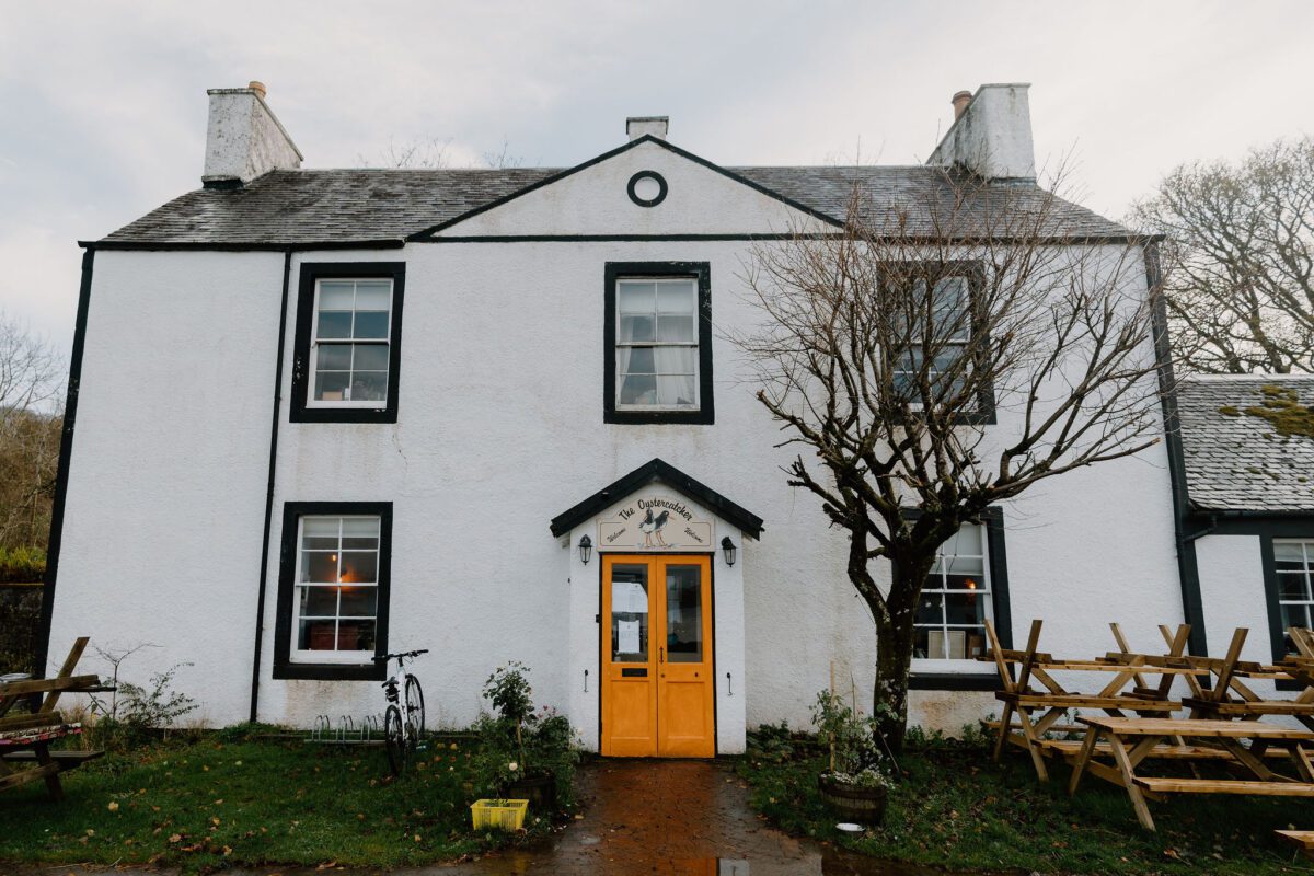The Oystercatcher