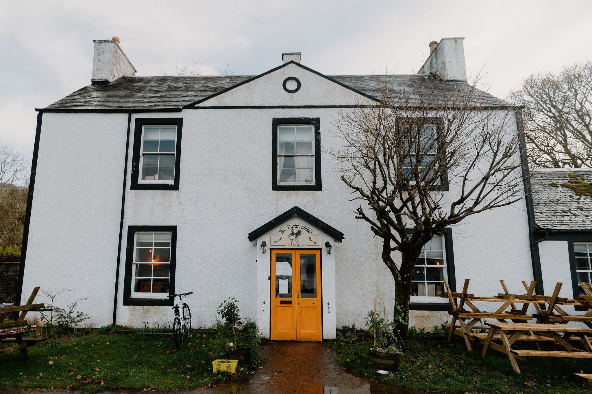 The Oystercatcher