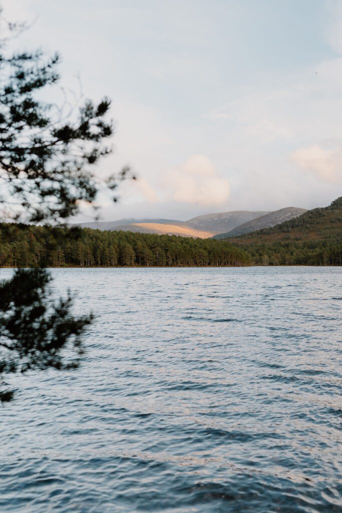 https://hiddenscotland-gallery.ams3.cdn.digitaloceanspaces.com/wp/2022/12/A7407790-683x1024.jpg