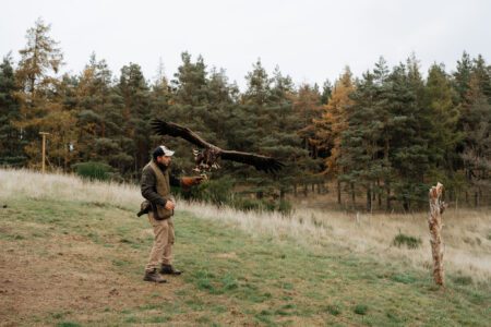 Rothiemurchus Falconry