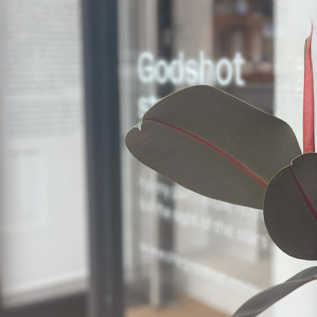 Rubber plant leaves beside a shop window lettered "Godshot