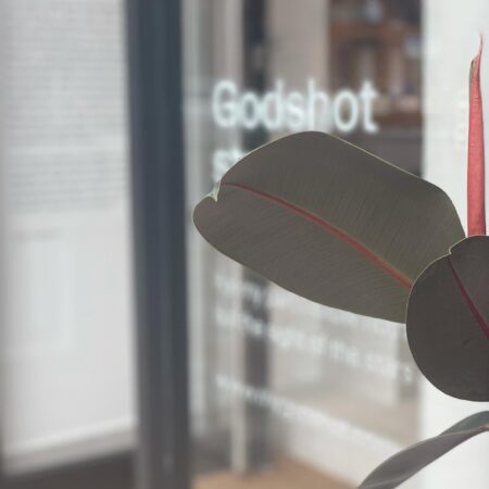 Rubber plant leaves beside a shop window lettered "Godshot