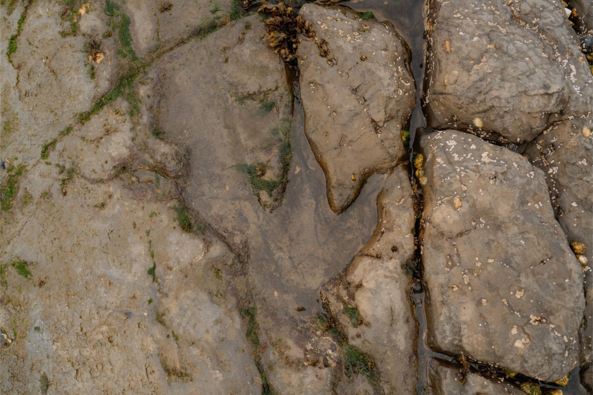 Dinosaurs Footprints at An Corran