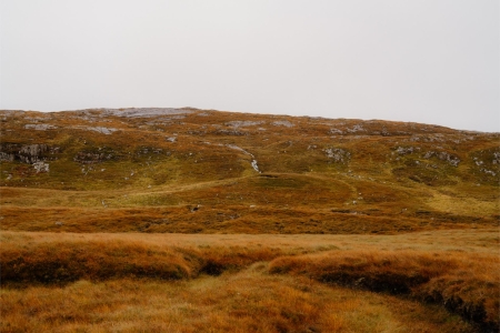 Rust-coloured moorland grasses rise towards a rocky, mist-covered hillside