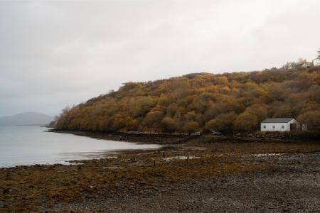 White cottage beside autumn woodland on a rocky Scottish shoreline