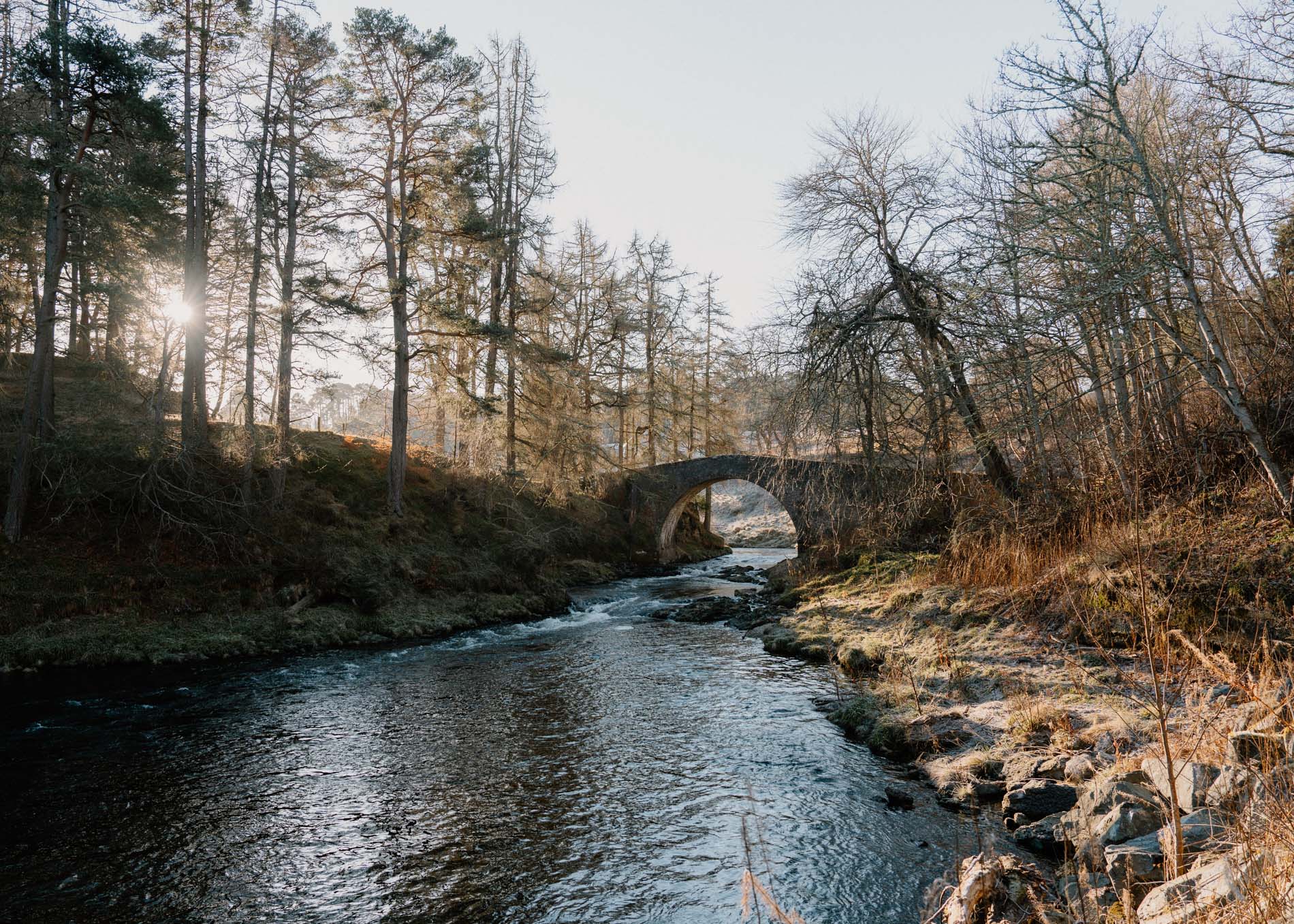 Stone arched bridge over a river, sunlight filtering through bare trees