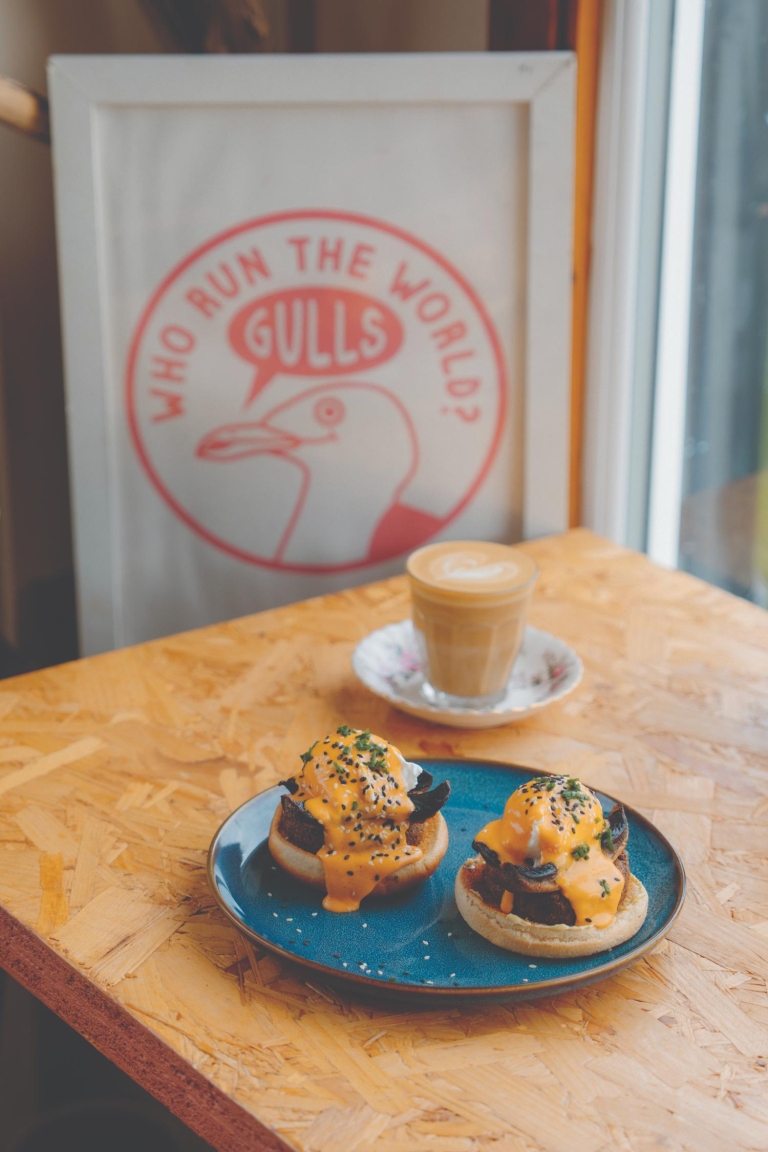 The Hungry Gull