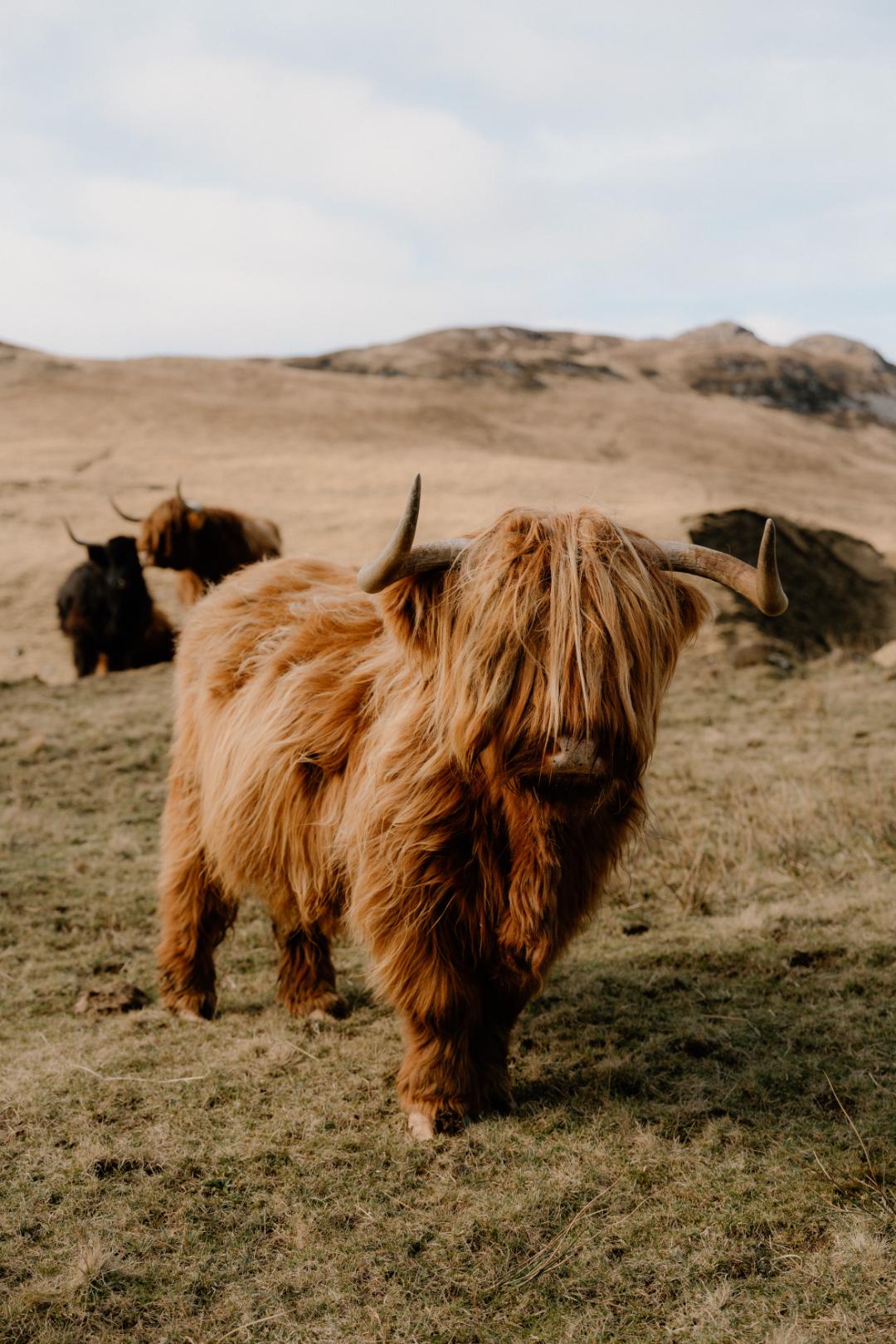 Documenting The Small Isles