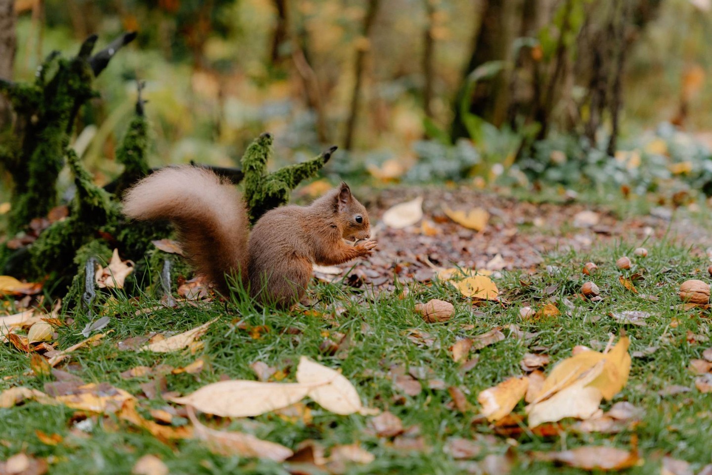 A Family Stay in Rural Perthshire