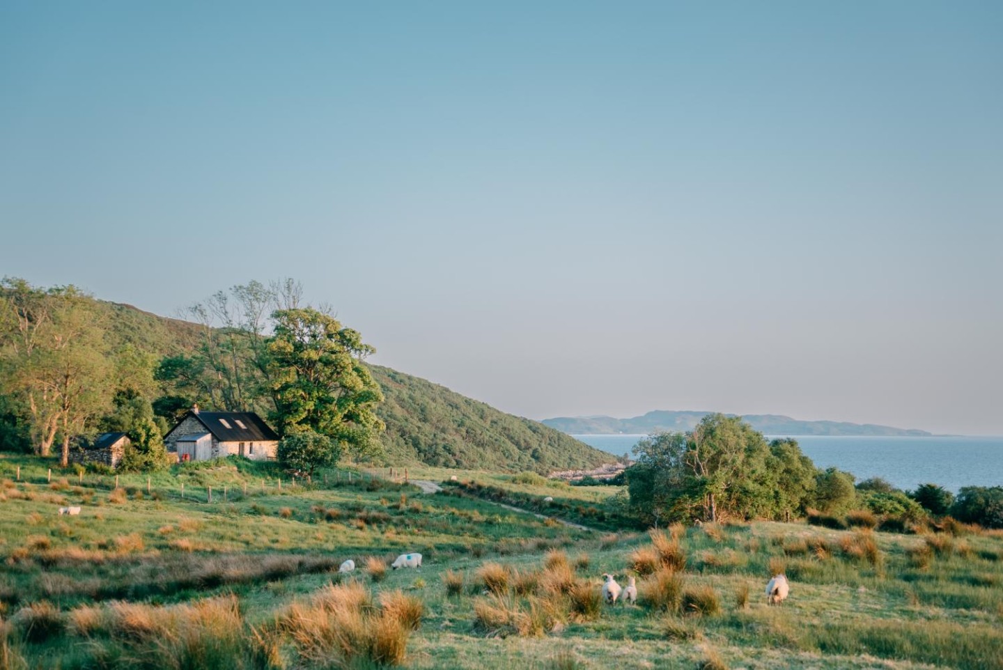 The Modern Croft