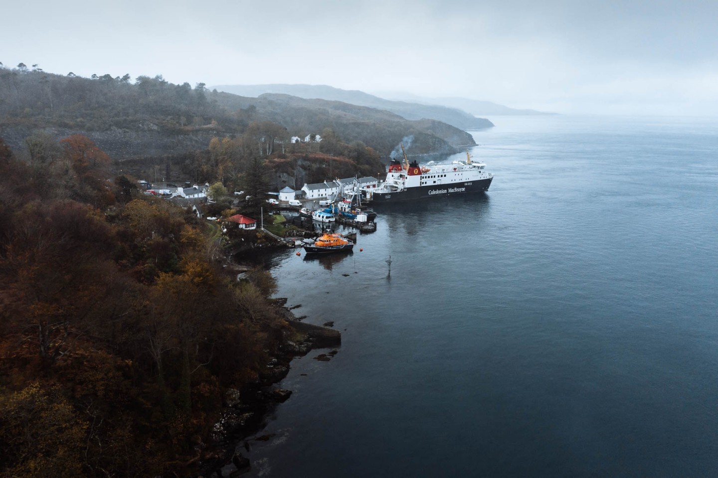 In Search of Otters on Islay