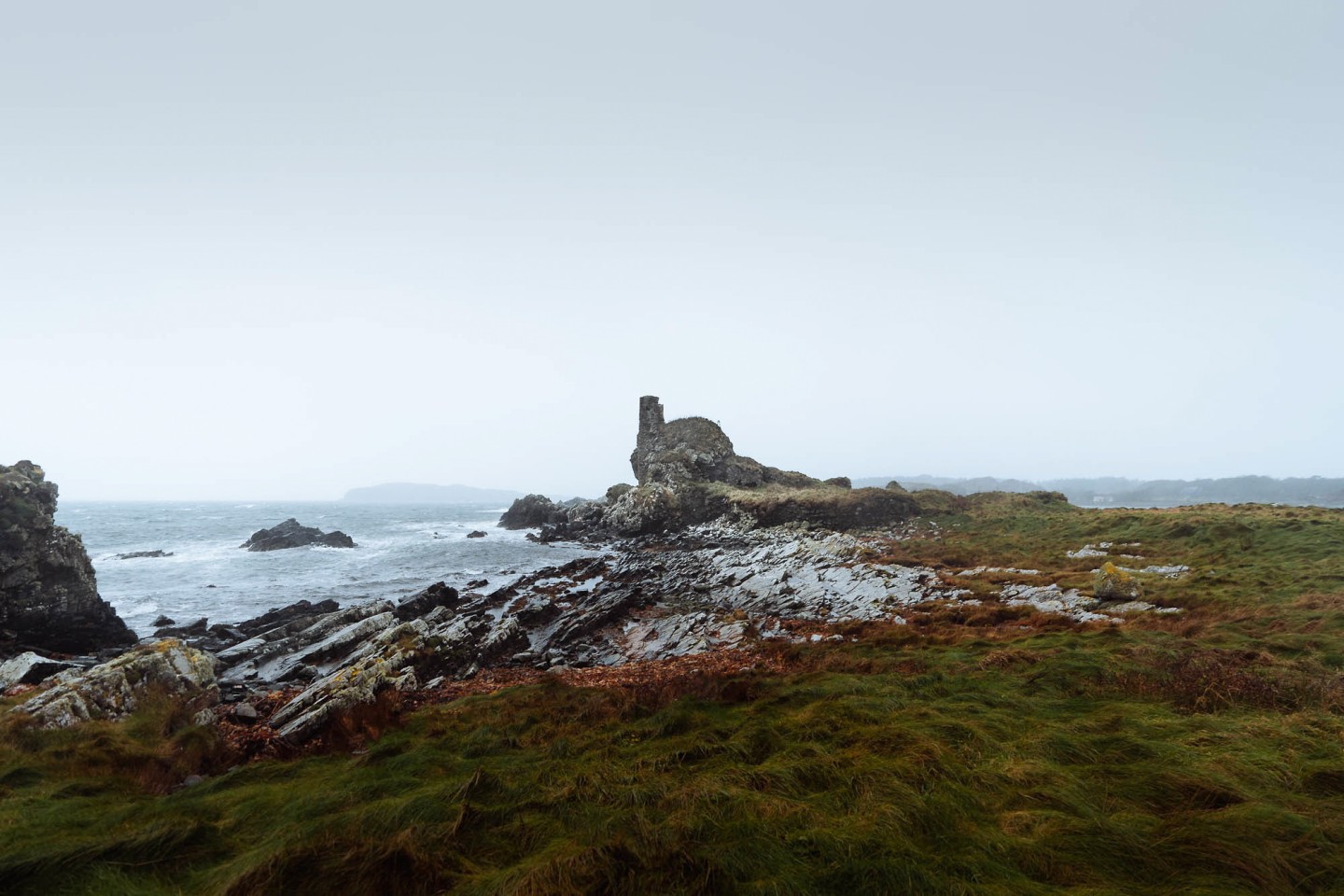 In Search of Otters on Islay