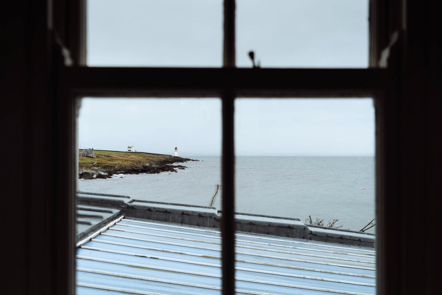 In Search of Otters on Islay