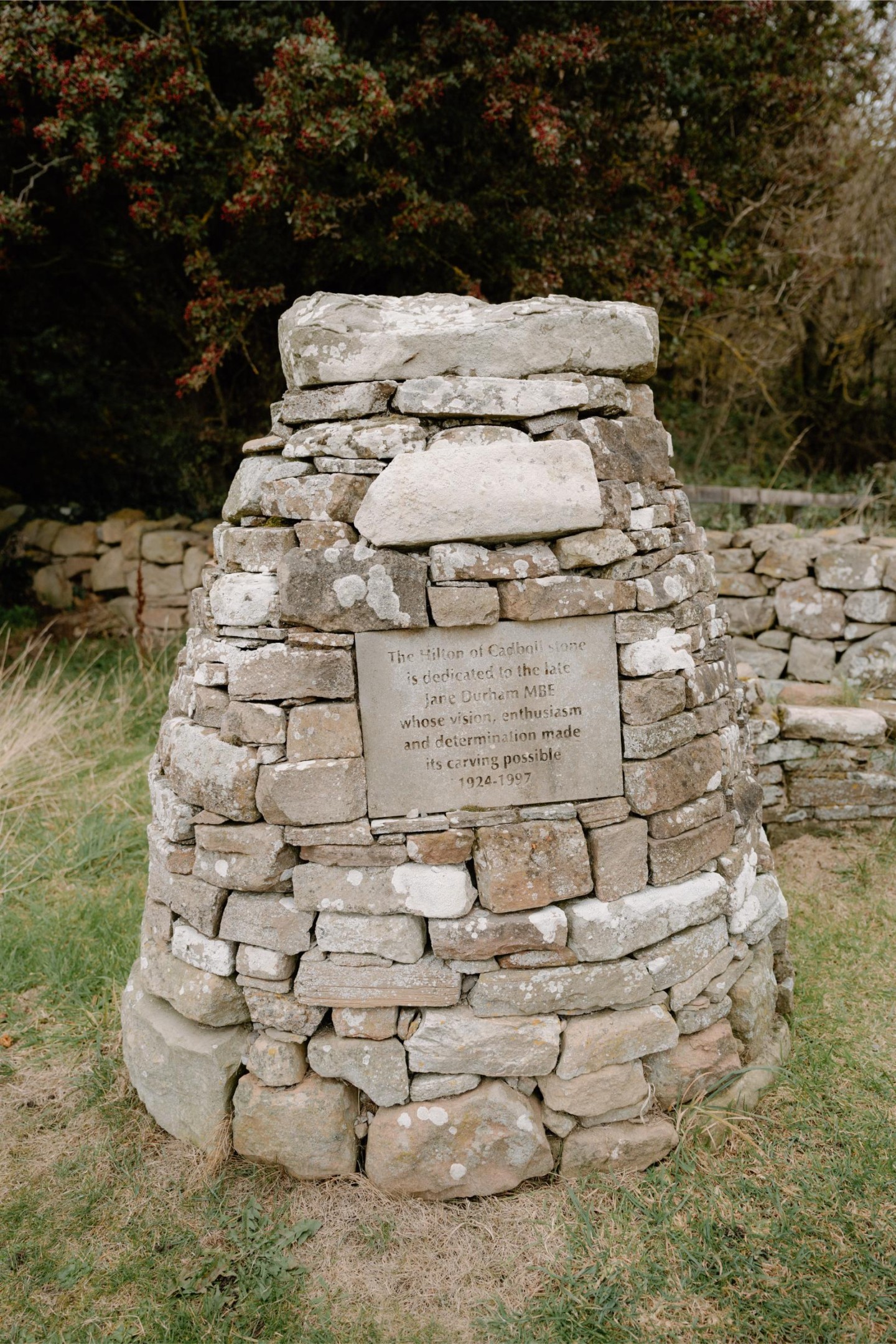 What Happened to the Picts?