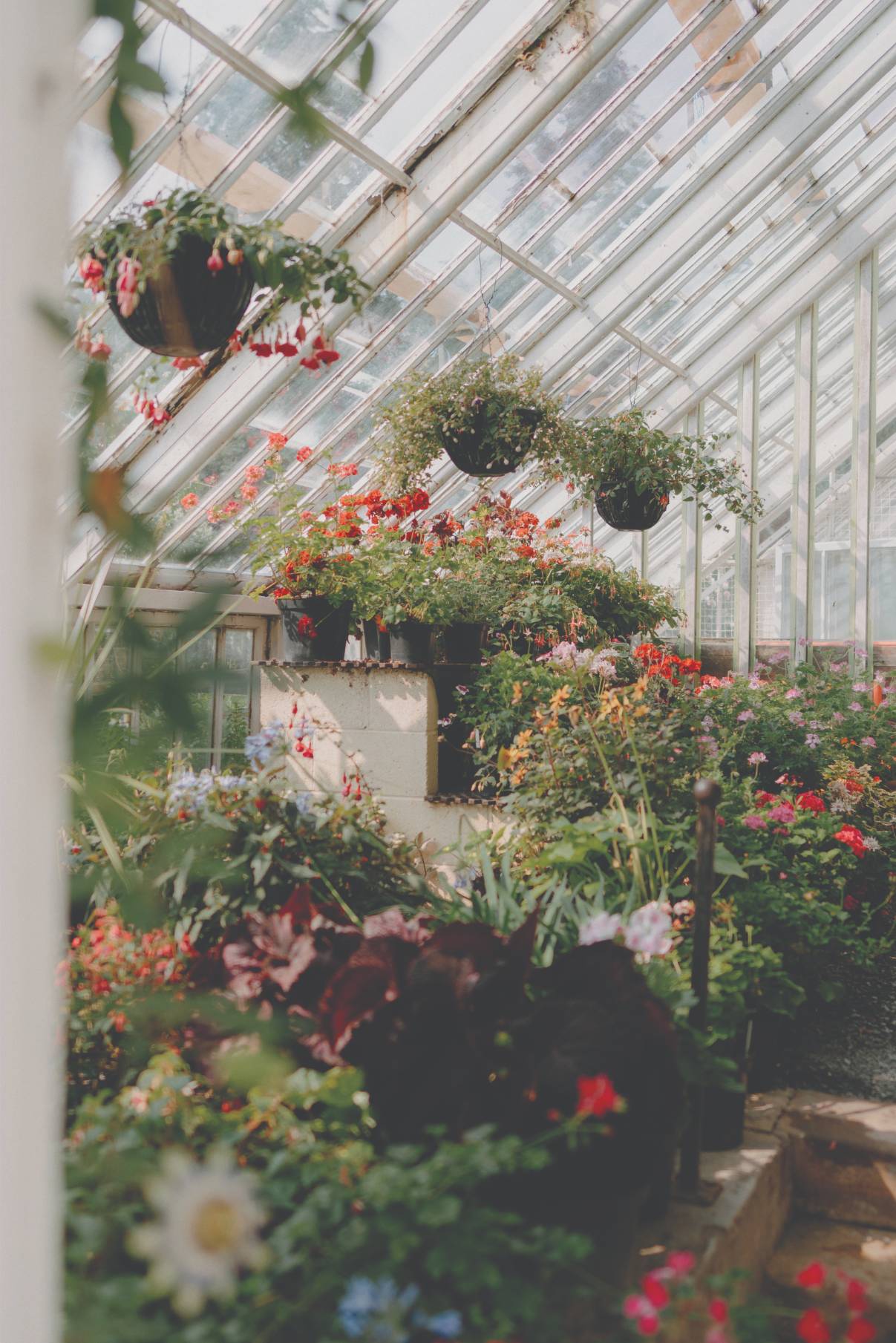 A Roundup of Scotland’s Most Impressive Gardens