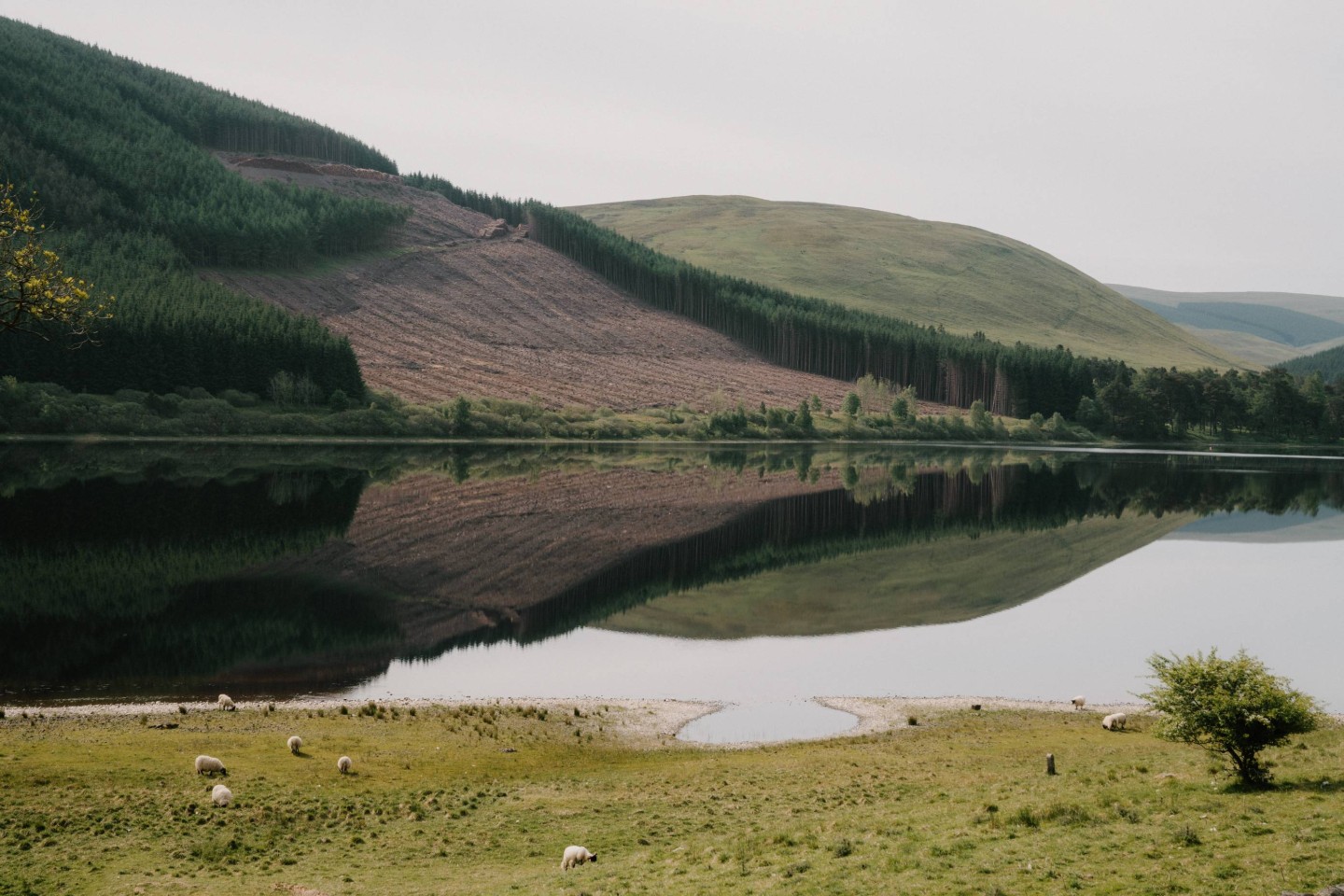 Lochs with Walks