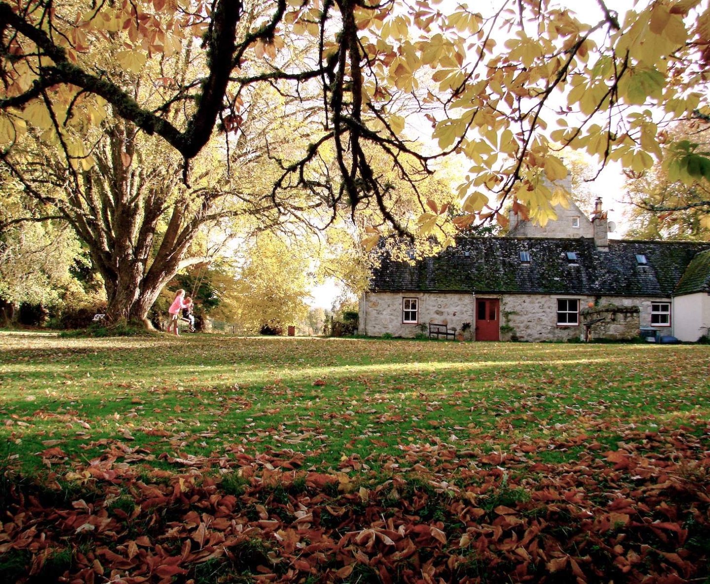 Abernethy Forest: Holiday Cottages at The Dell