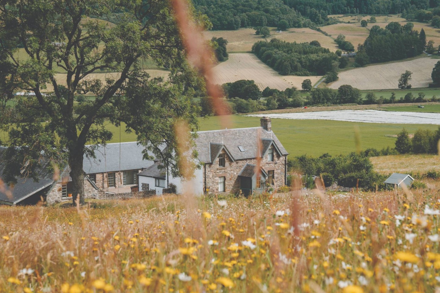 Nature Inspired Places to Stay