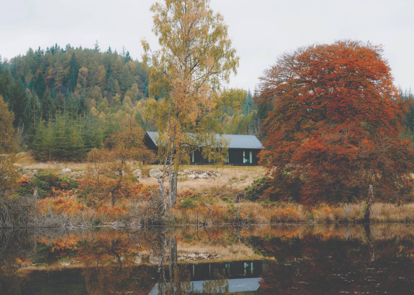 Nature Inspired Places to Stay