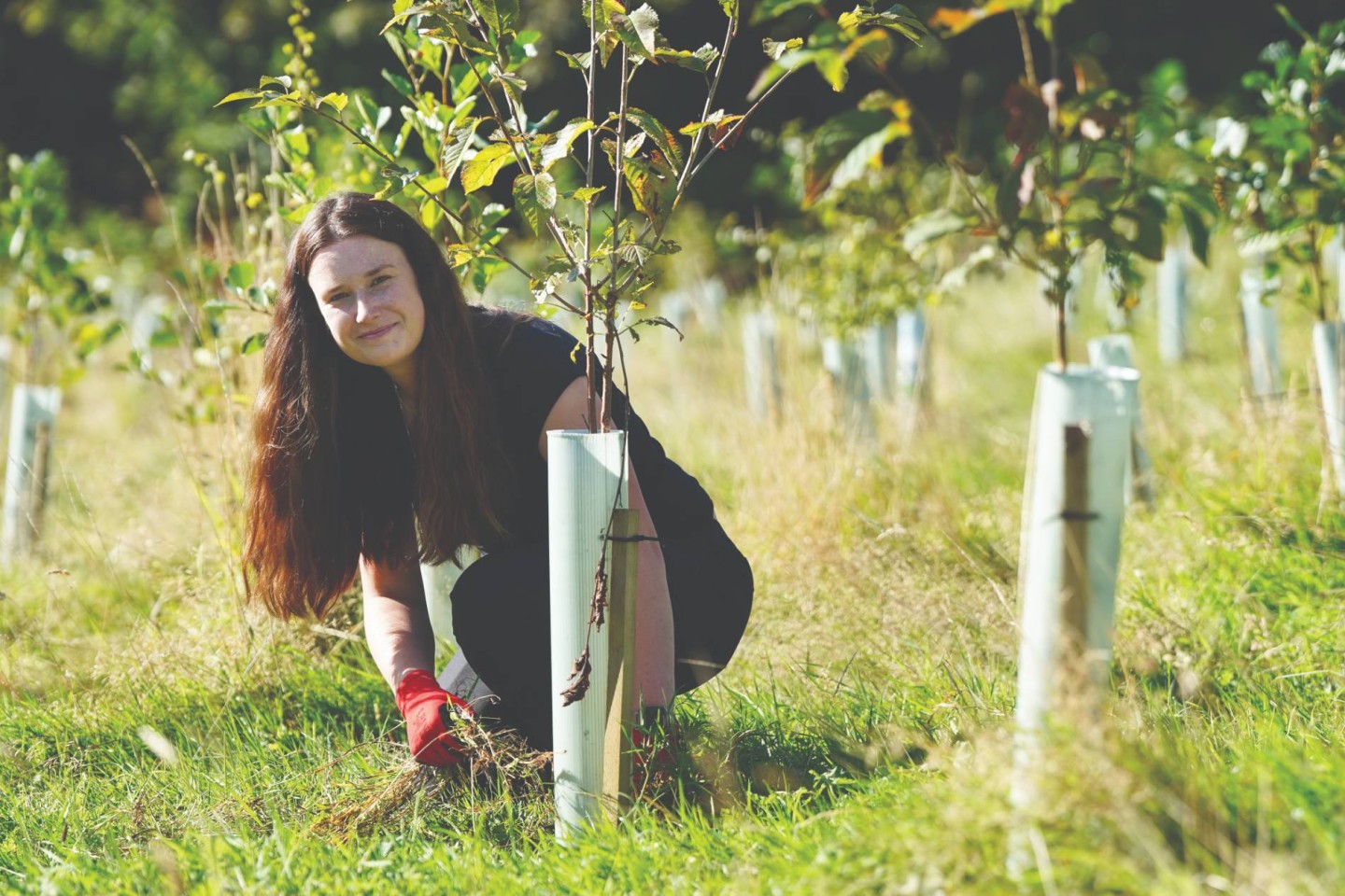 Transforming The Urban Landscape with Future Woodlands Scotland