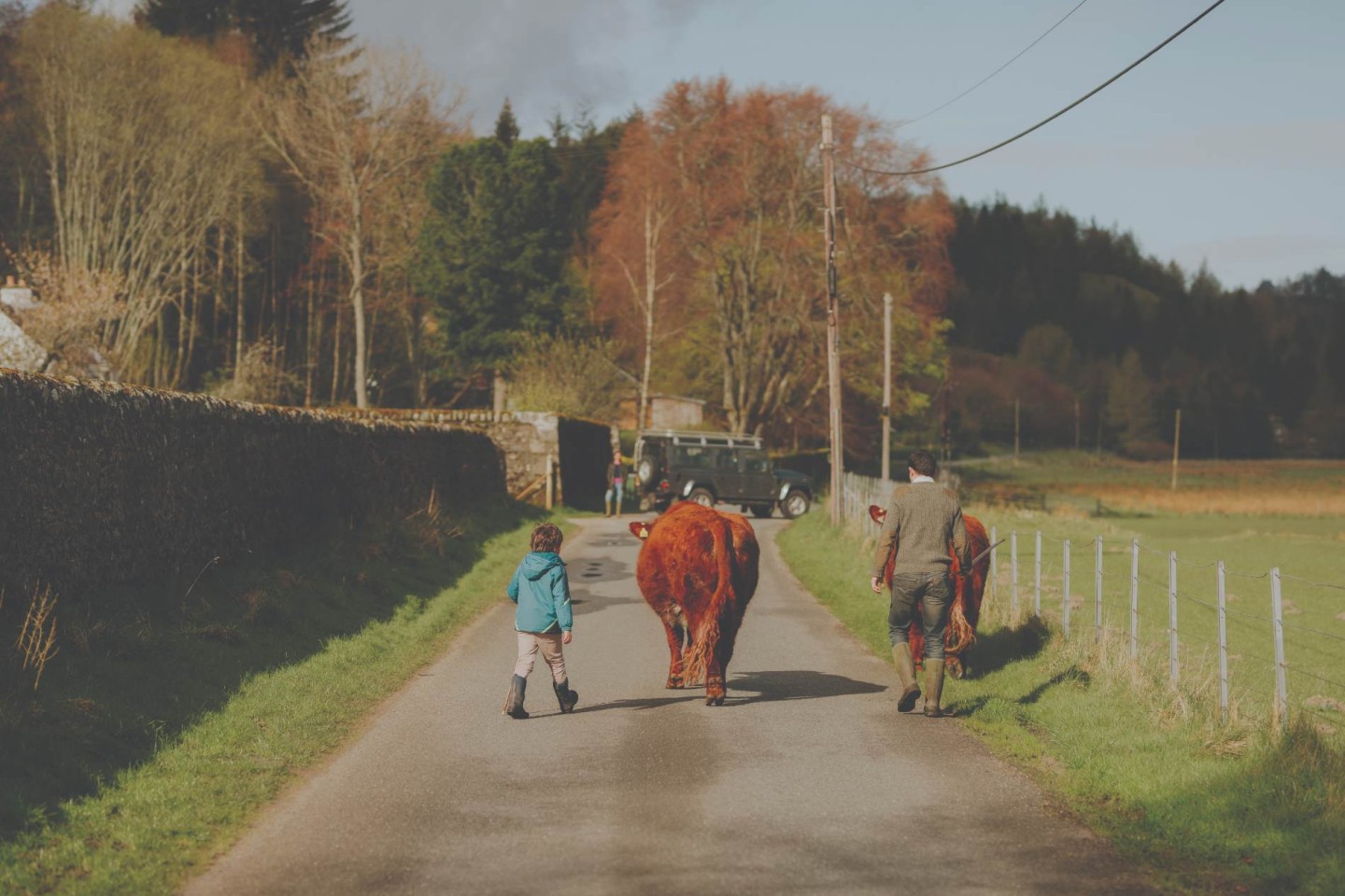 A Modern Highland Life