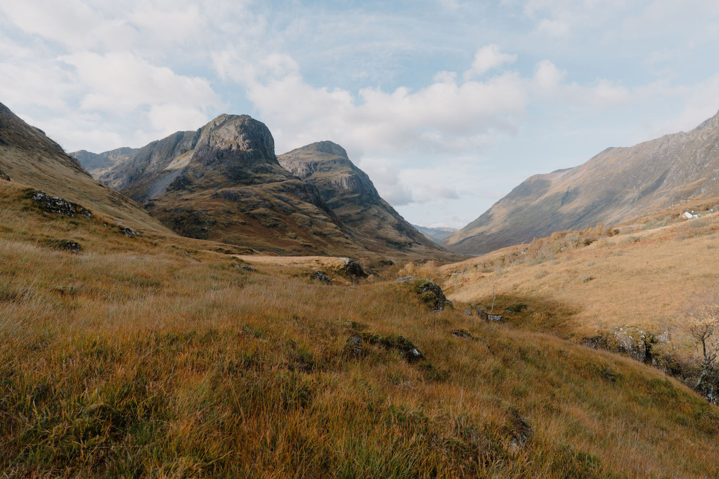 Scotland, One Step at a Time