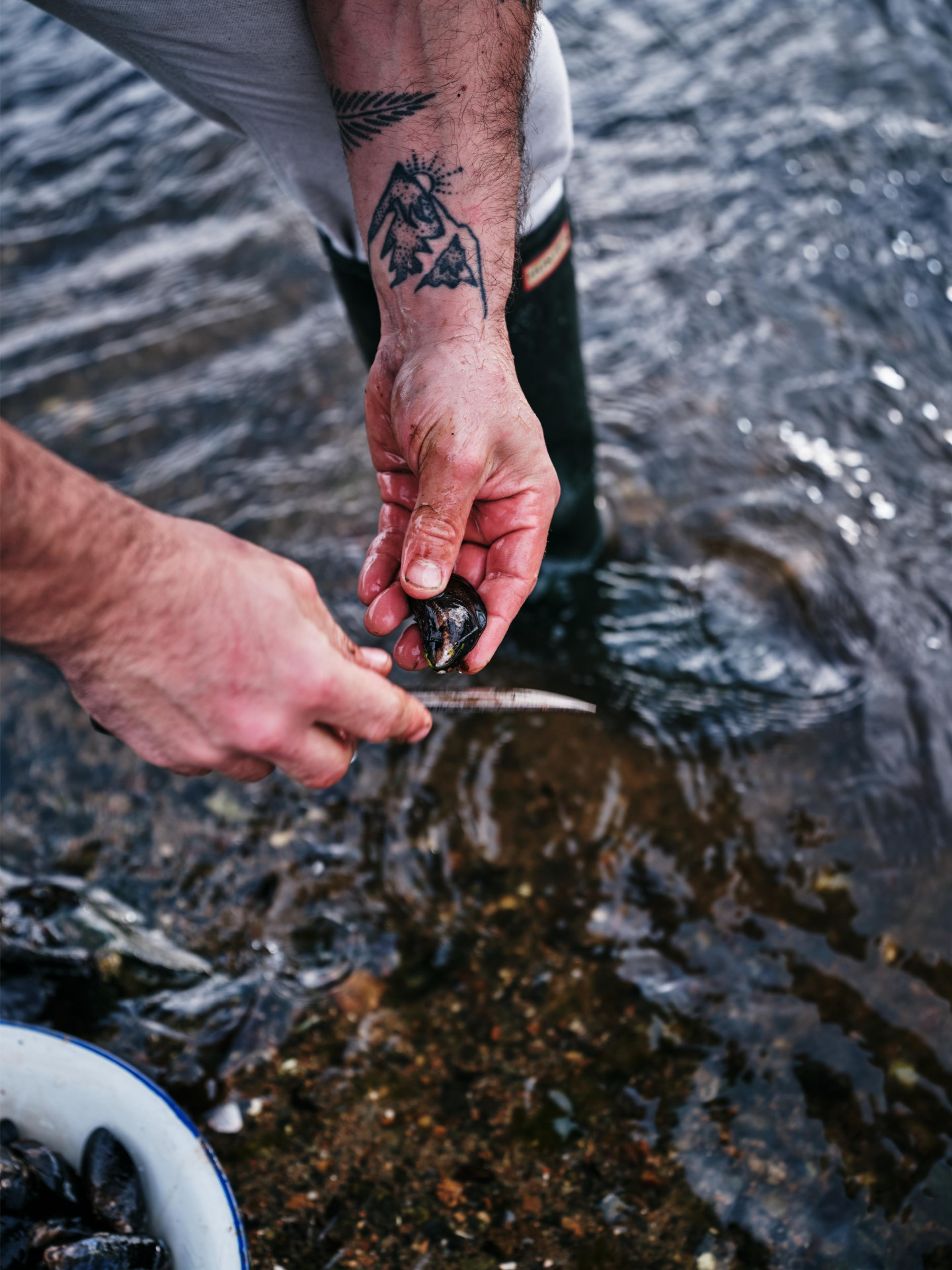 Wild Kabn Kitchen - From the Embers