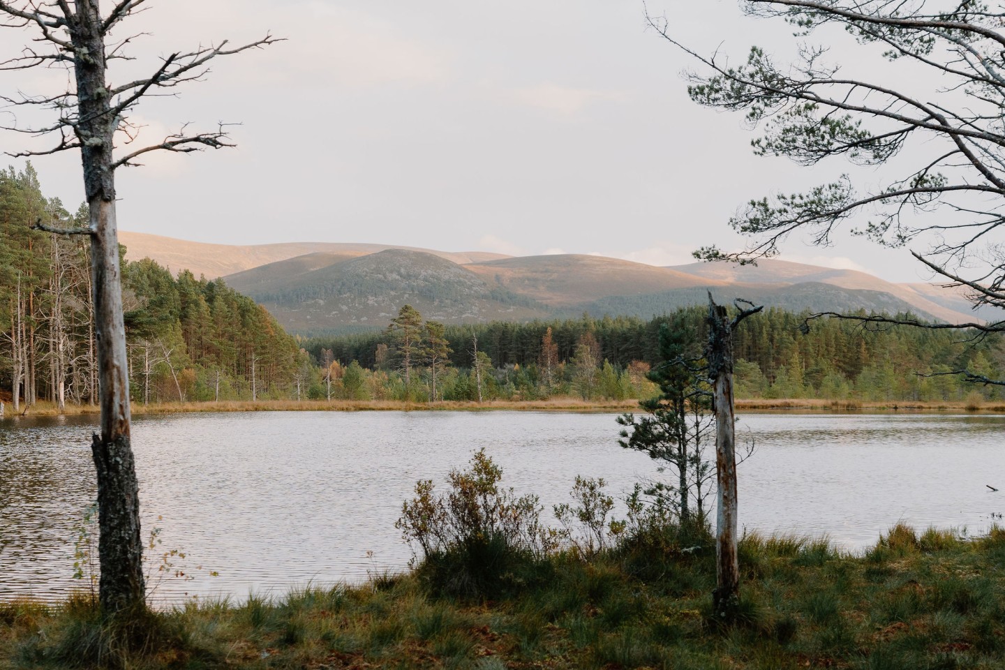 A Weekend Exploring the Cairngorms