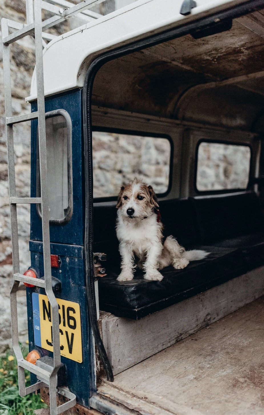 A Dog Lover’s Guide to Scotland