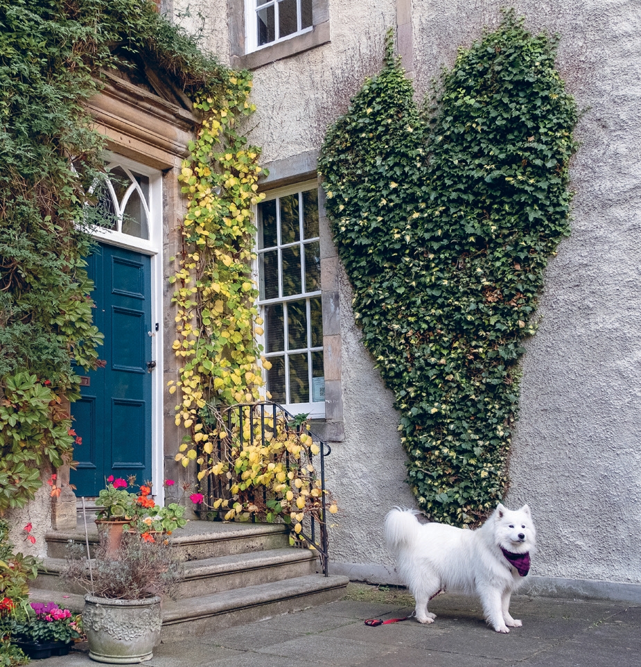 A Dog Lover’s Guide to Scotland