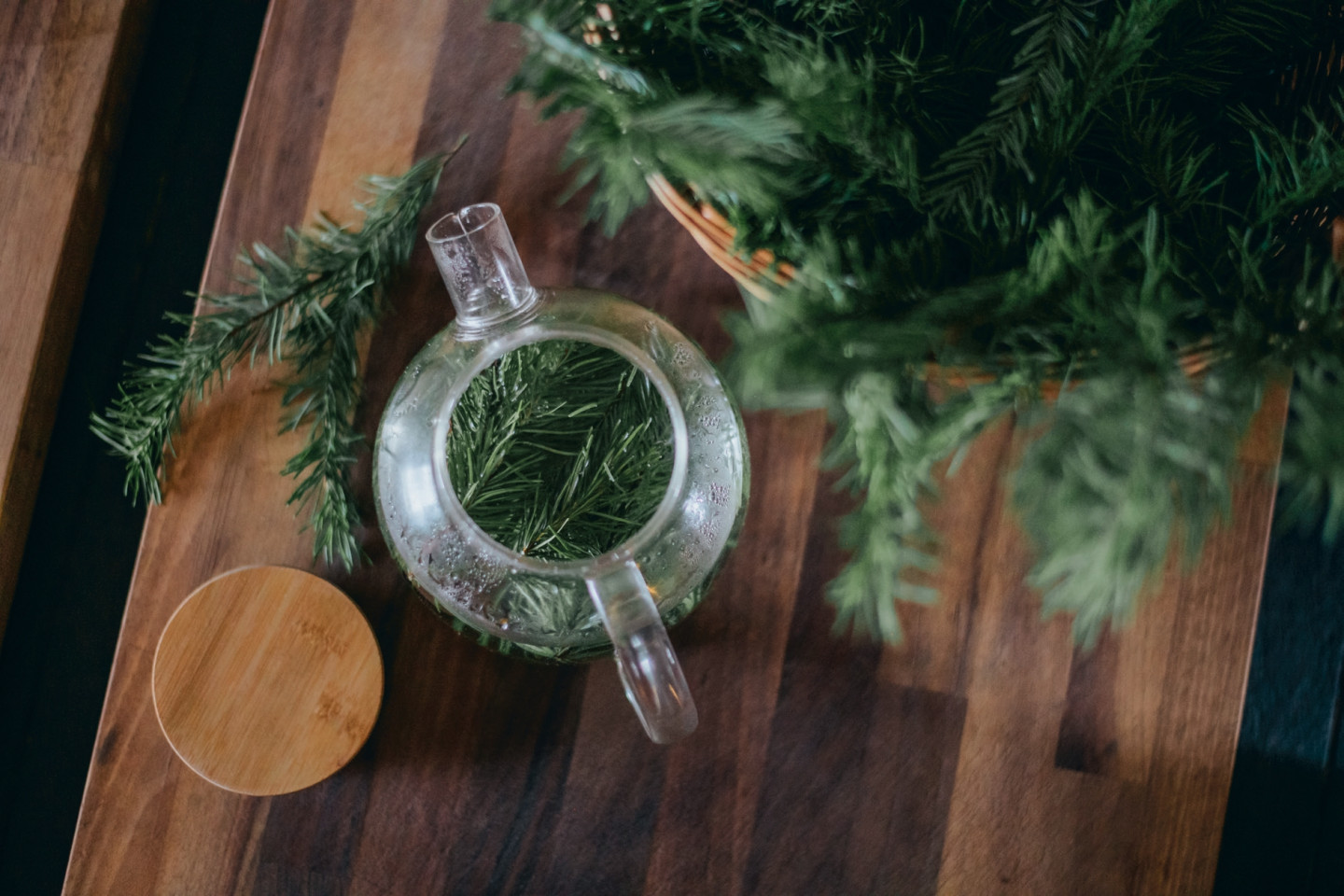Foraging for Wild Food