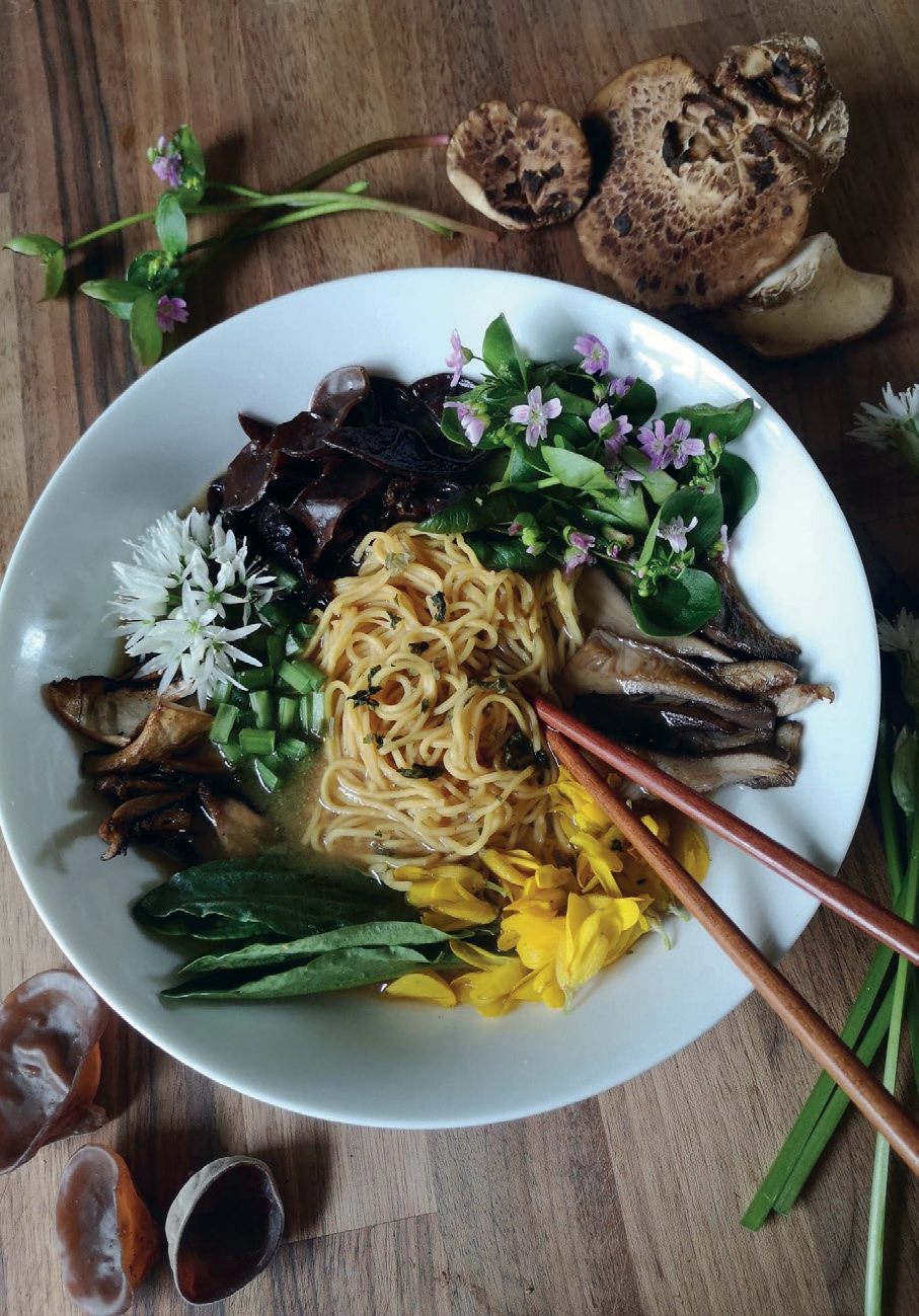 Wild Miso Noodle Broth