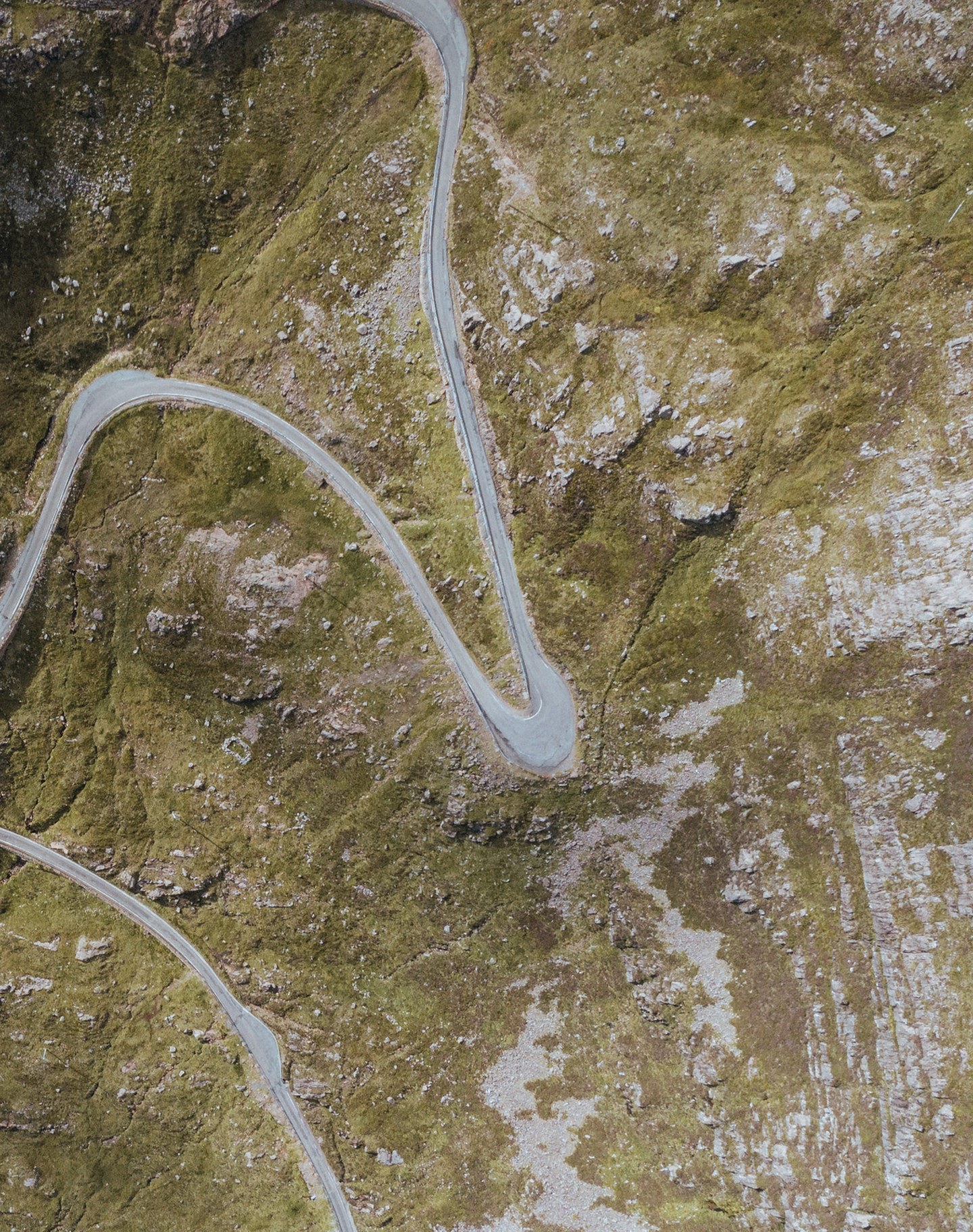 The Road That Winds Through Time