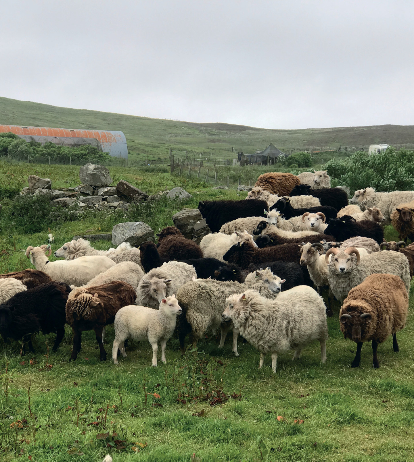 Shetland Textiles - The Future is Woolly