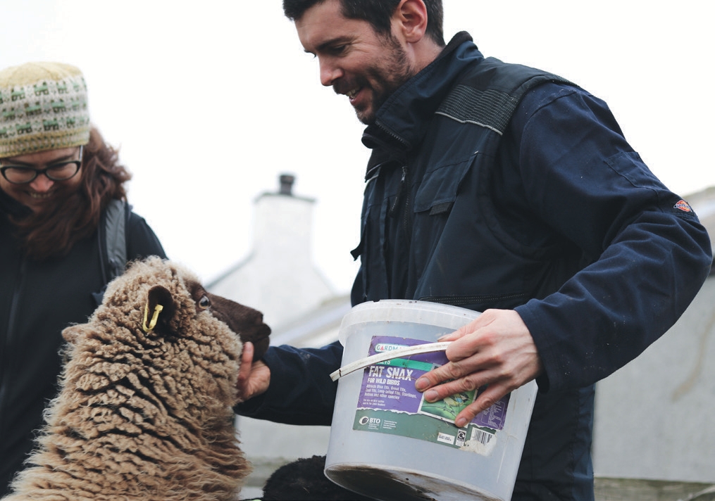 Shetland Textiles - The Future is Woolly