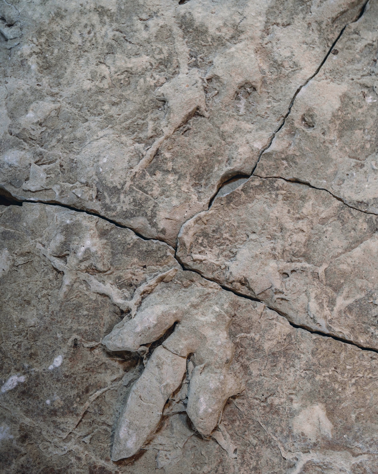Image Two