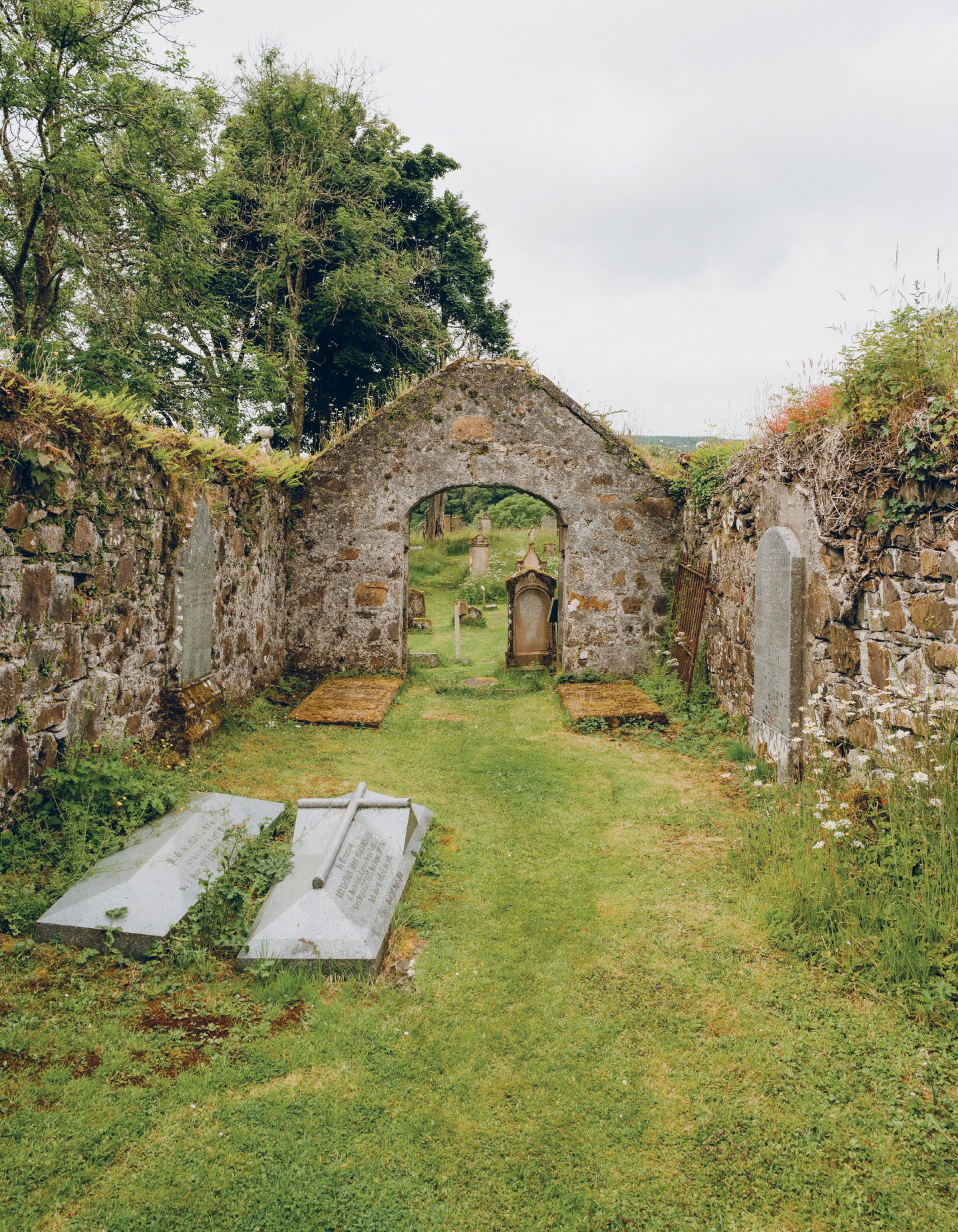Image Two