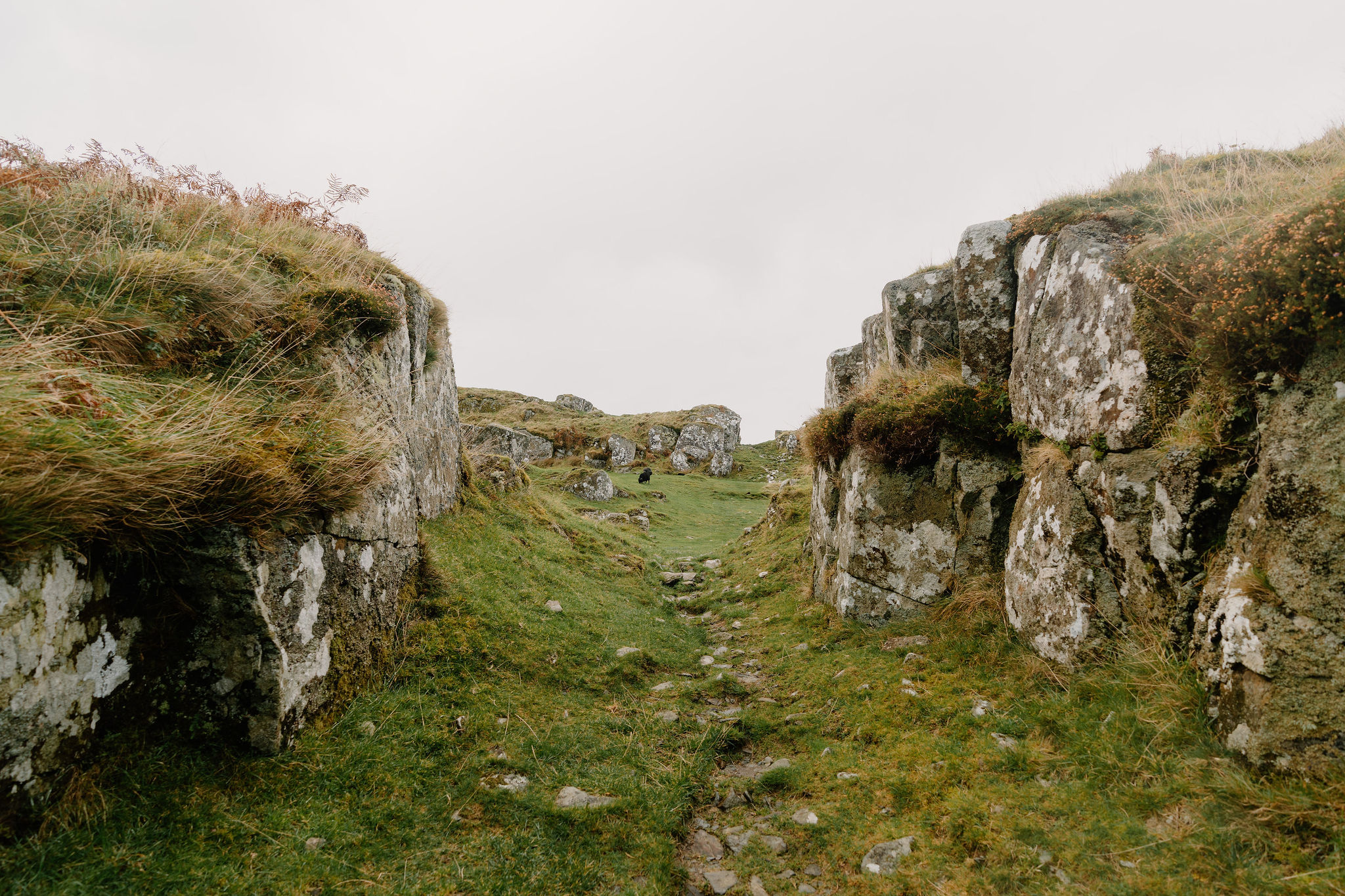 Clues in the Rock: What Dunadd Tells Us About Early Scotland