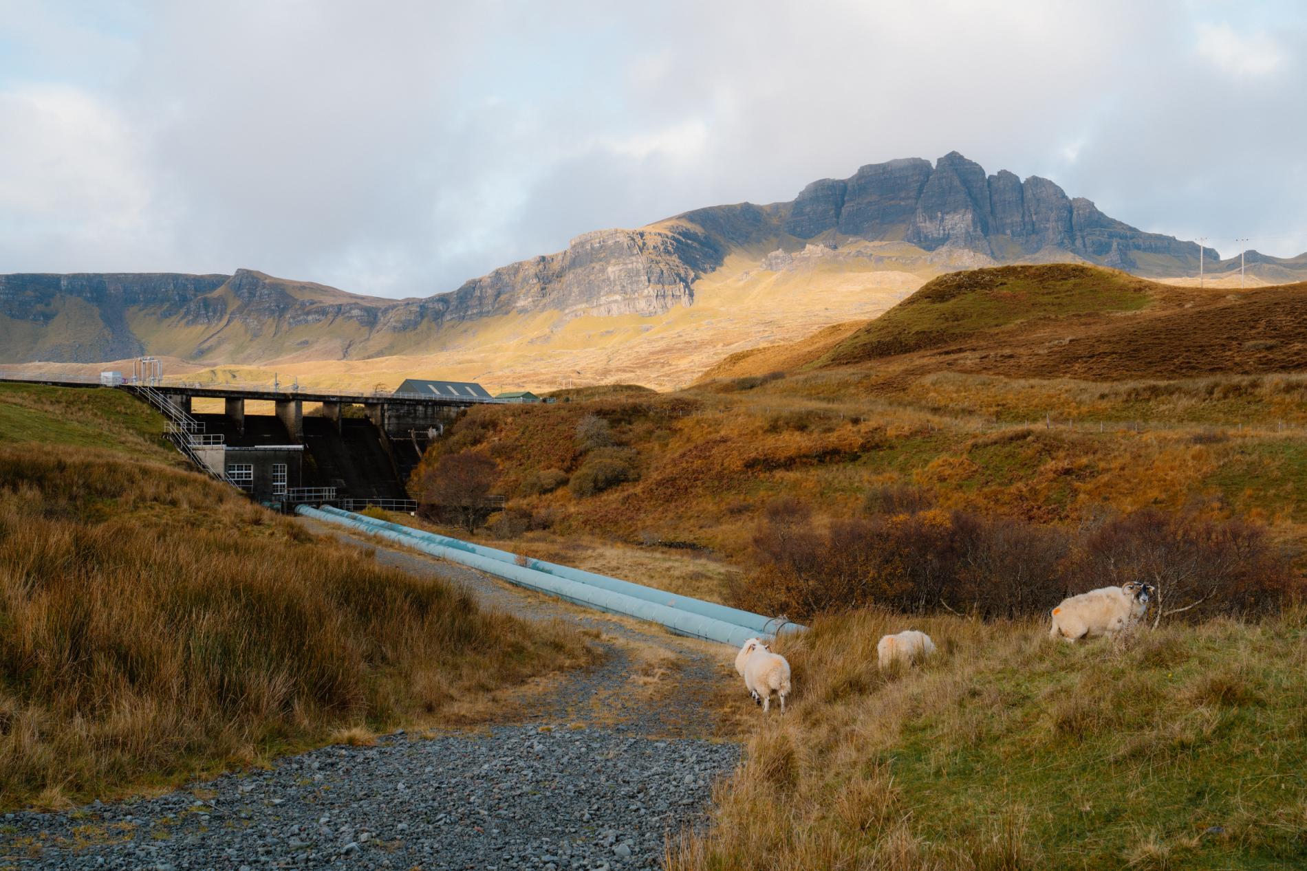 Walks, Wildlife & Nature in Skye