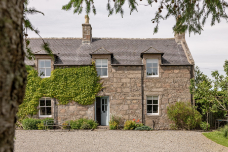 A stone farmhouse covered in climbing ivy stands behind a gravel drive, seen through overhanging pine branches.