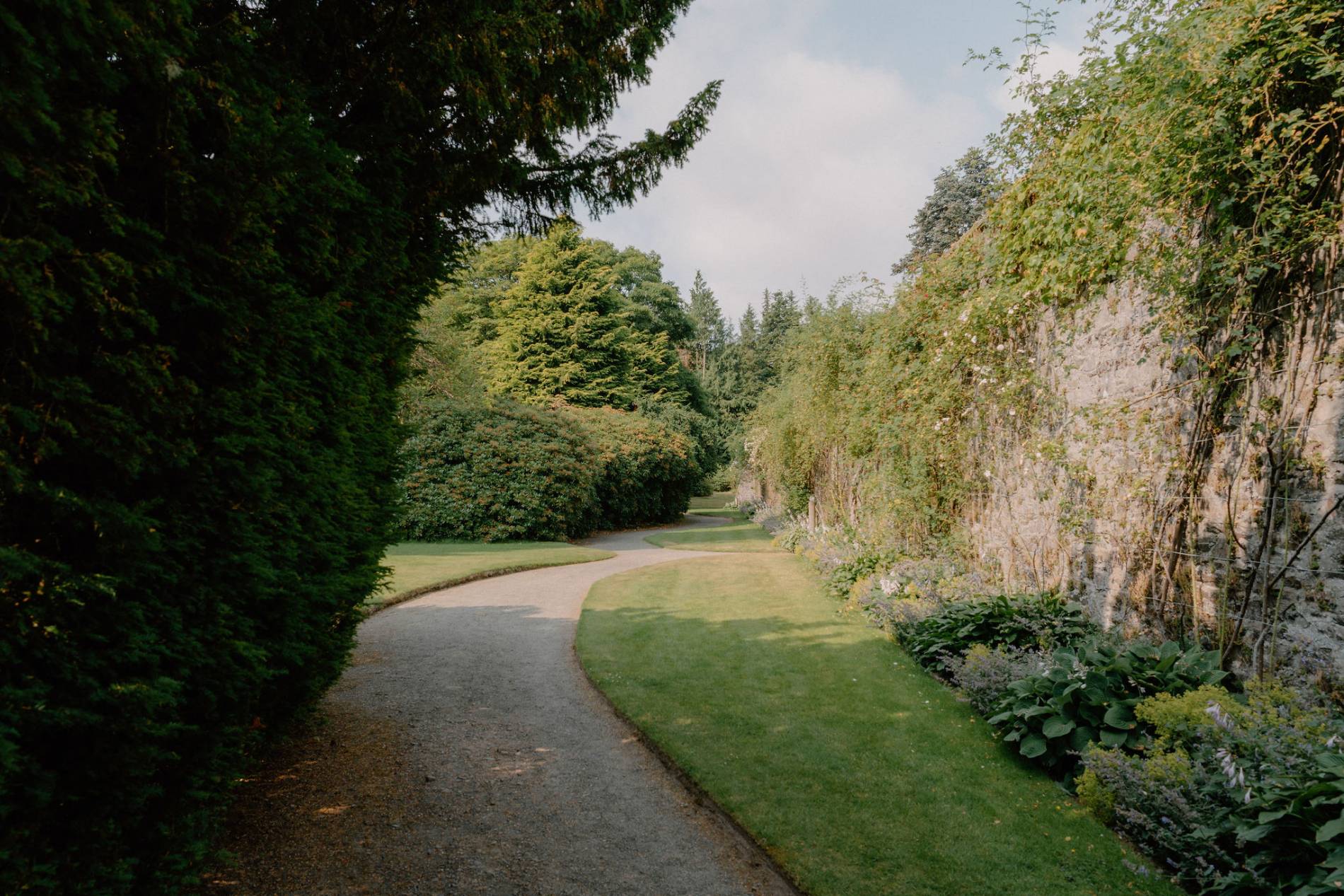 Image One