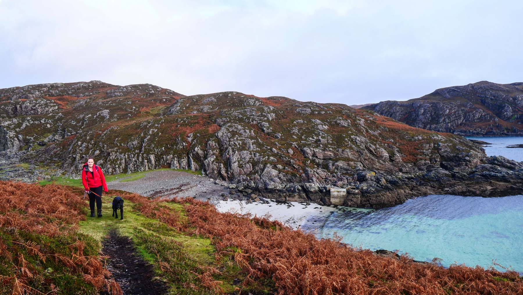 Image One