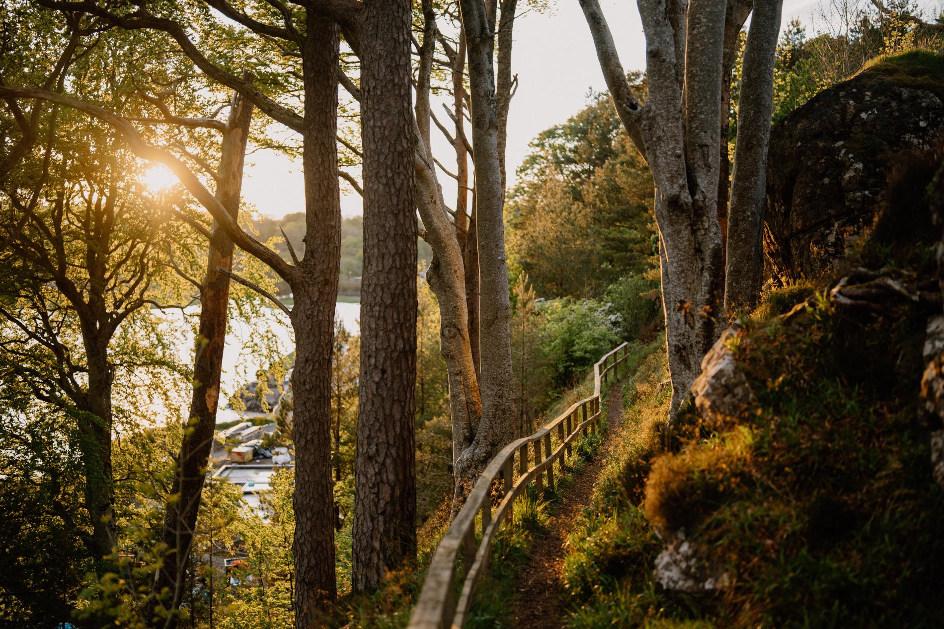 Walks, Wildlife & Nature in Skye
