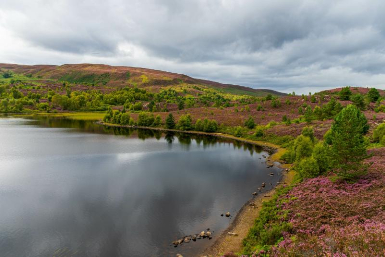 Scotland Records 29 °C — Hottest Day This Year