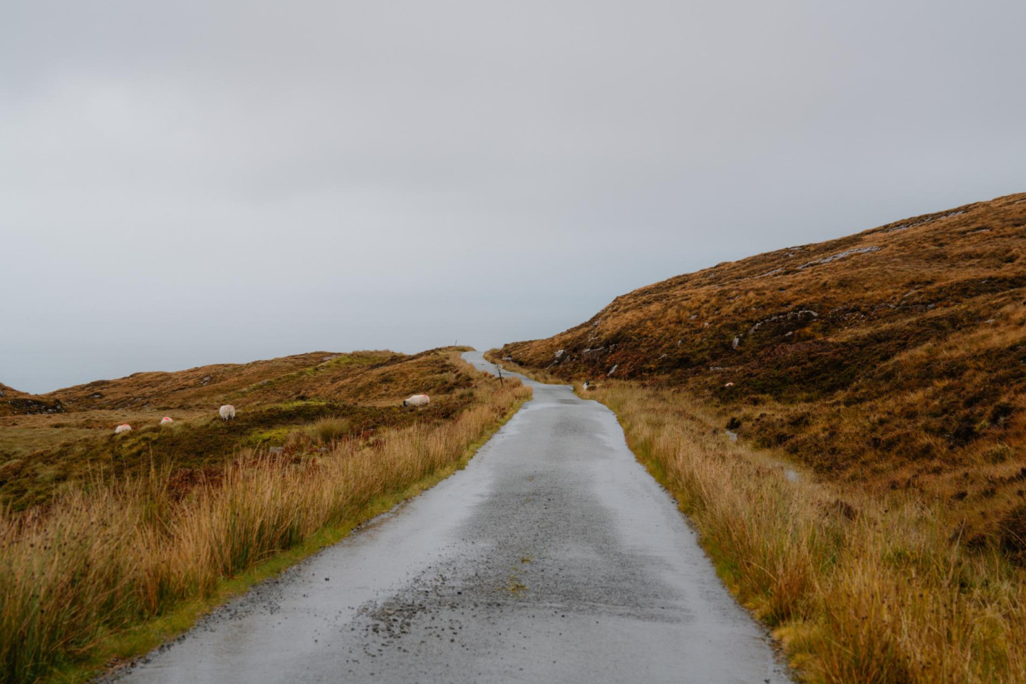Roads Less Travelled