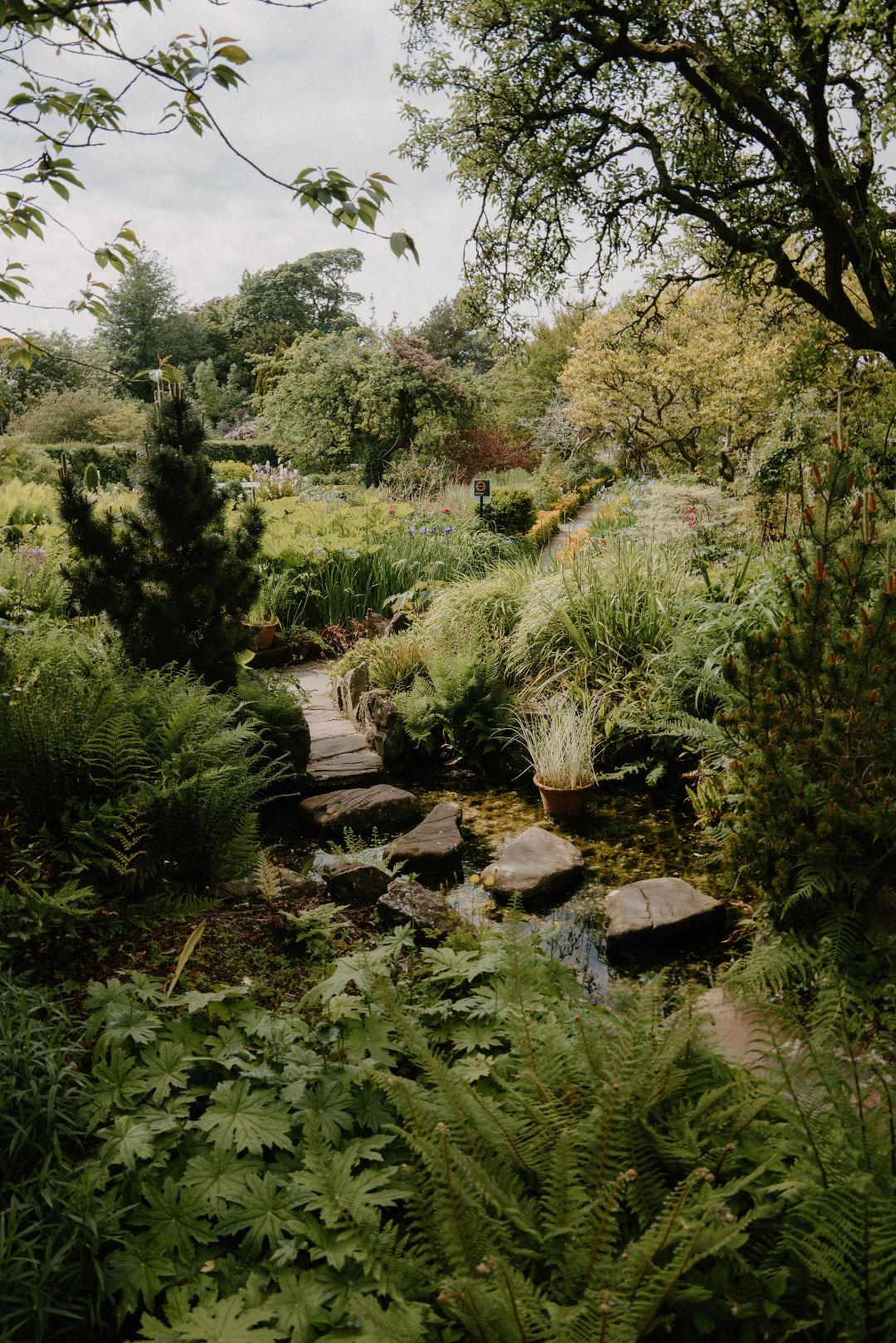 Image Two