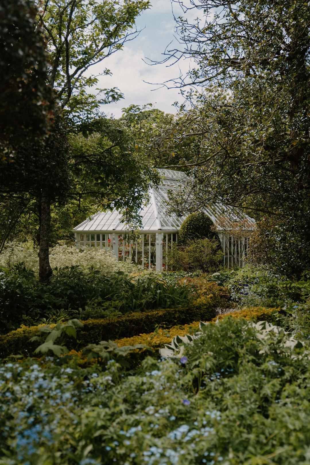 Image One